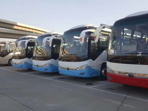 2019 重慶到 沭陽大巴 每日多班