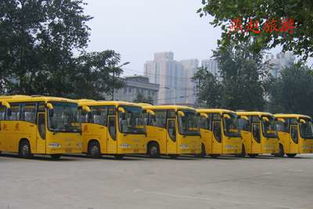 石家莊燕趙旅游汽車公司 汽車銷售新選擇，海量精選高清圖片庫助力決策